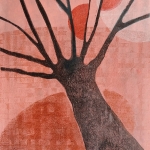 Distorted reflection