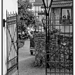 Rolleiflex 6008 integral