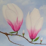 Magnolias