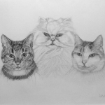 GRUMPY, ED EN DIKKIE