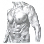 a man's body