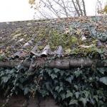 Asbest op z’n best