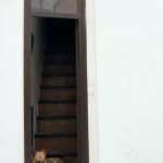 Hond in Portugal