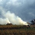Restafval rijst verbranden Java