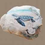 Schildpad