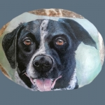 Hond Nelson