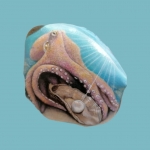 Octopus en de parel