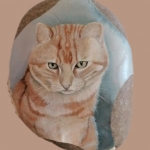 Rode kater Poekie