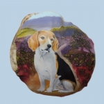 Hond Ziggy