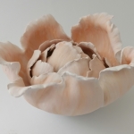 Pioenroos