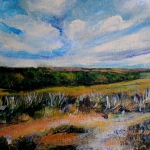 Sfeervolle landschappen_13