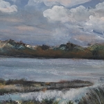 Sfeervol landschap Terschelling