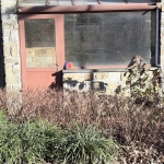 Te vondeling gezet in een venster van de Sint-Jozefskerk, Heide-Kalmthout