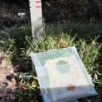 Het gras is groener als je het water geeft