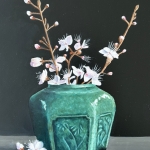 Perenbloesem in gemberpot