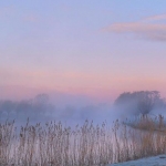Mistige winterochtend bij de Linge