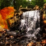 Waterval in de herfst