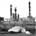 Raffinaderij en dode vogel