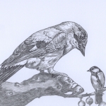 Vlaamse gaai en koolmees