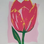 Tulp