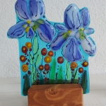 Iris botanica