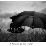 Bon Vivant 9