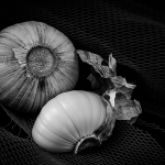 Macro
