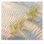 Vlieland