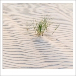 Vlieland