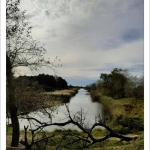 Amsterdamse waterleiding duinen