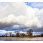 Boxmeer de Maas