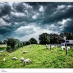 Boxmeer aan de Maas