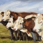 Vier koeien op een rij