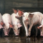 Elf biggen in een stal