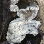 Hier ontstaan de ideeën