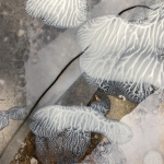 achter de wolken gebeurt het