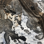 Het is nooit wat je denkt dat het is