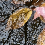 Zo boven, zo beneden