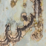 Getekend voor het leven