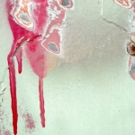 De gelaagdheid van het leven