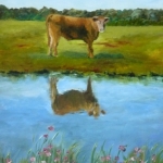 Spiegeltje, spiegeltje...