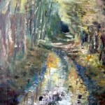 Na de regenbui ( Spanderswoud)