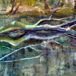 Vijver Echobos Muiderberg