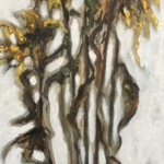 Faded sunflowers 