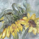 Zonnebloemen 