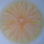 Derde oogchakra - Ajna