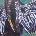 Watervogel