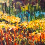 Landschap California USA