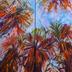  Anza Borego Desert Californa   USA