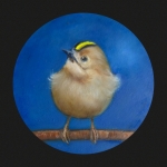 Goudhaantje 
